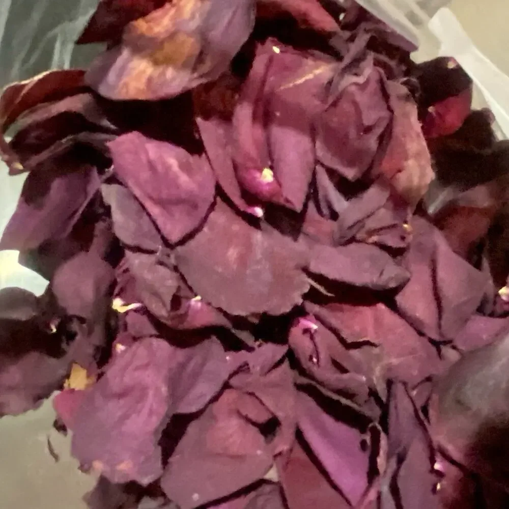 Rose Petal .5oz Natural Red Potpourri Wedding Confetti Bath Soap Candle Crafts